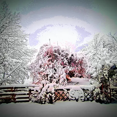 Homestay Wild Wild Arnistein *