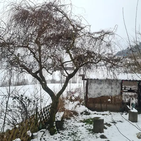 Wild Wild Arnistein Homestay *